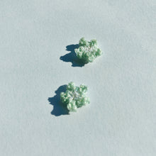 Load image into Gallery viewer, Tiny Pearlescent Flower Studs